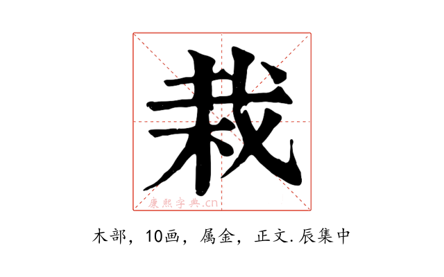 栽