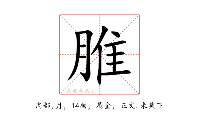 脽
