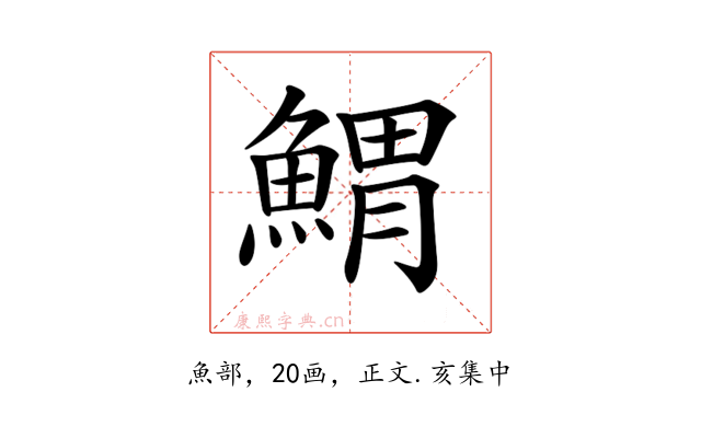 𩹂