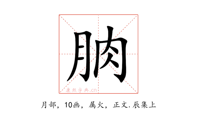 朒