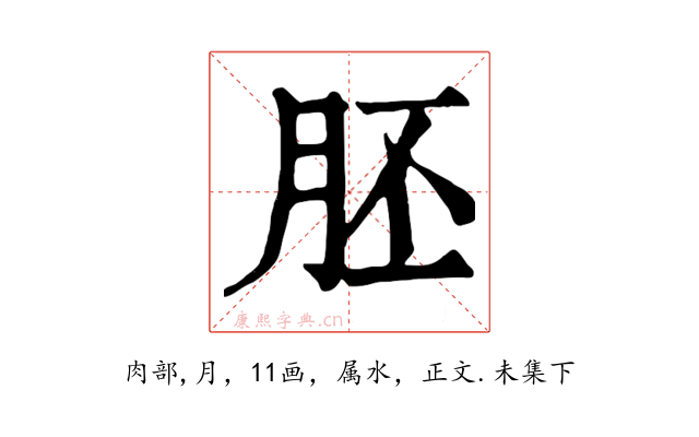 胚
