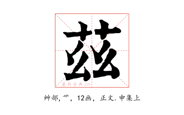 茲