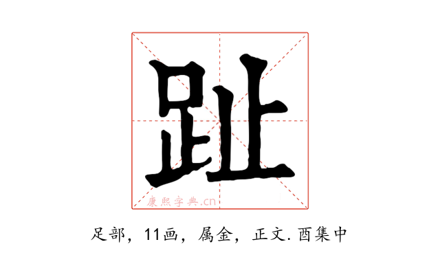 趾