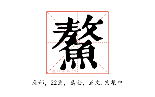鰲