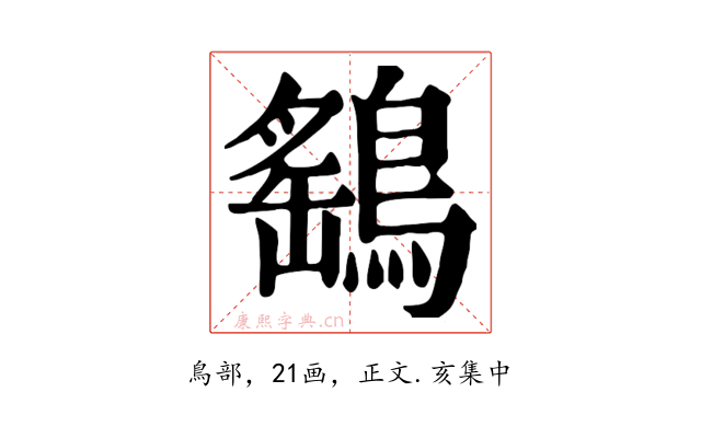 鷂