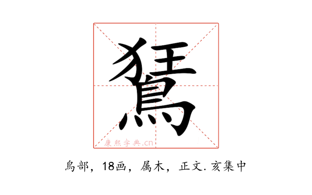 鵟