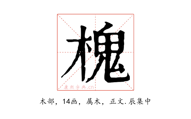 槐