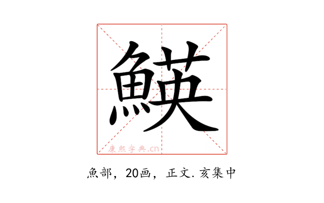 𩹅