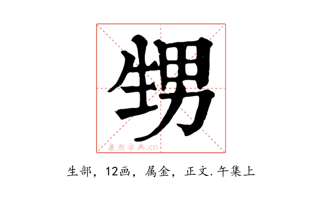 甥