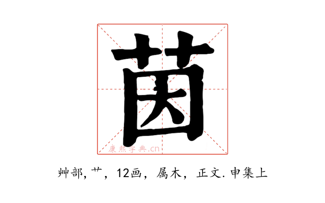 茵