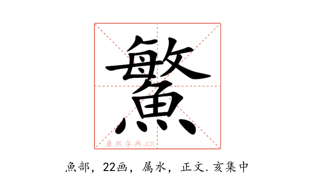 鰵
