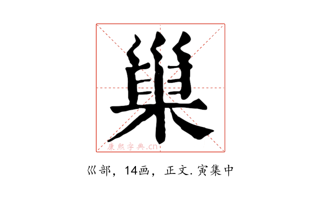 巢