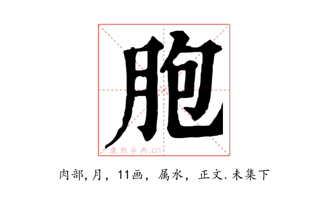 胞