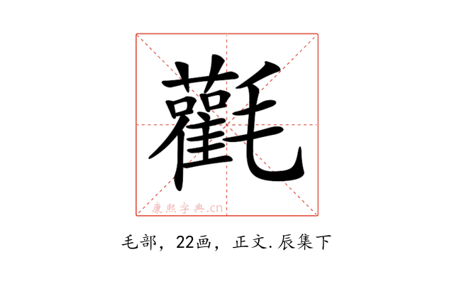 𣰻