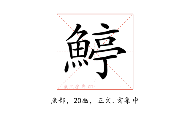 𩹇