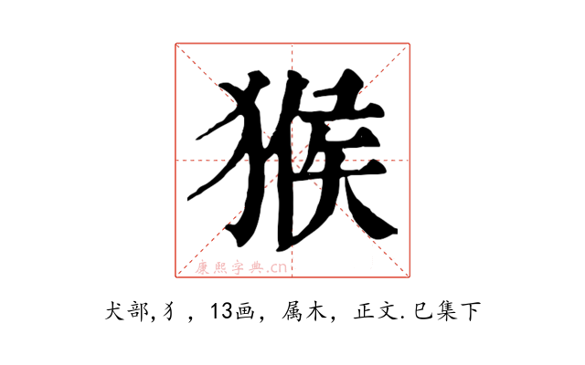 猴