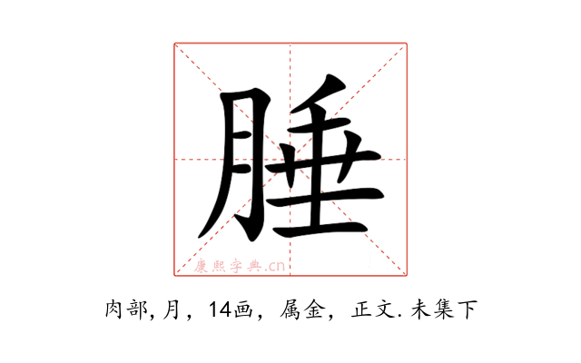 腄