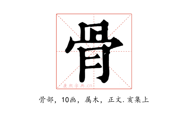 骨