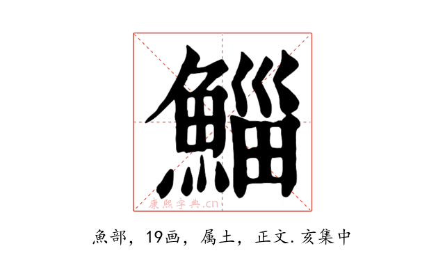 鯔