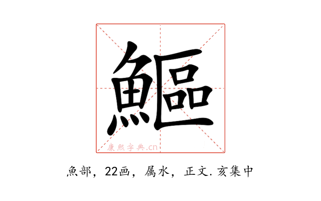 鰸
