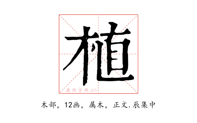 植