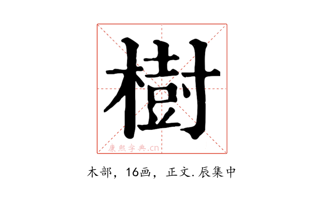 樹