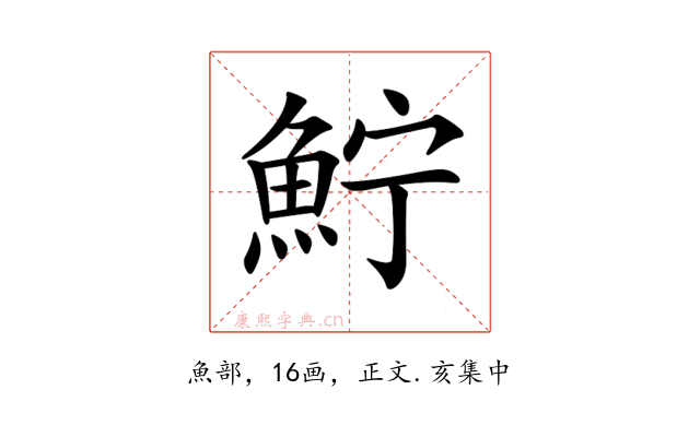 𩶂