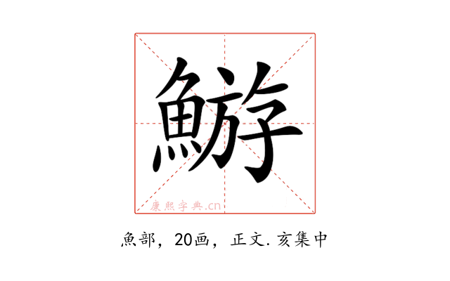 𩹊