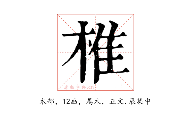 椎