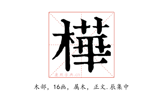 樺