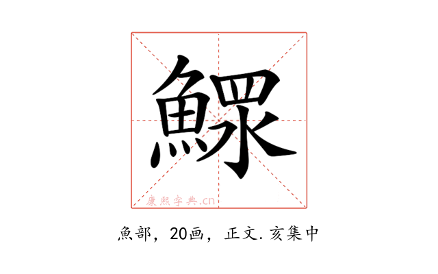 𩹌