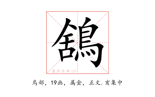 鵨