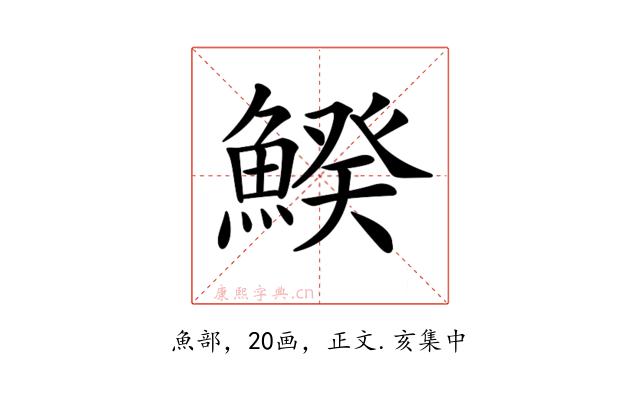 𩹍
