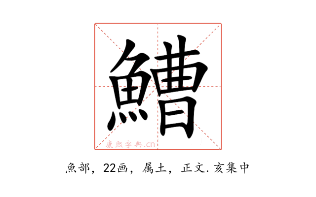 鰽