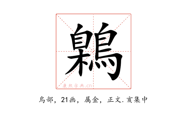 鷍