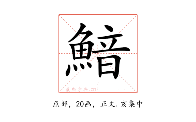 𩹎