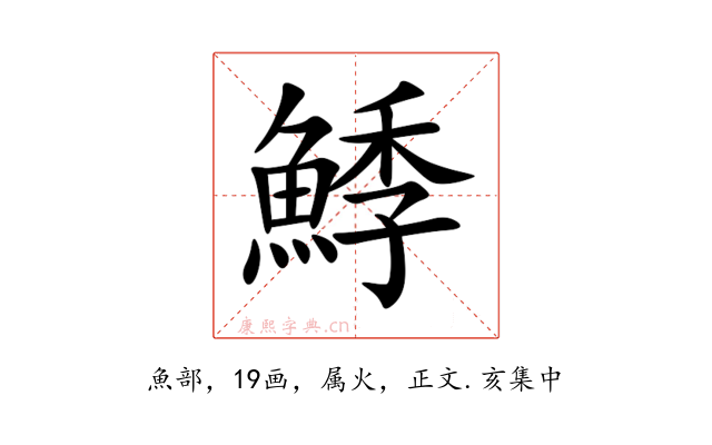鯚