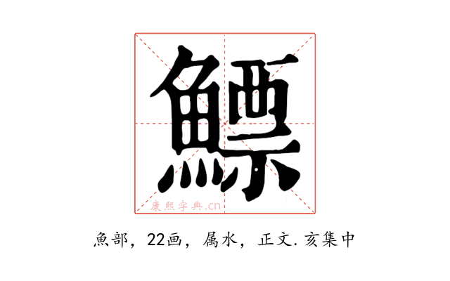 鰾