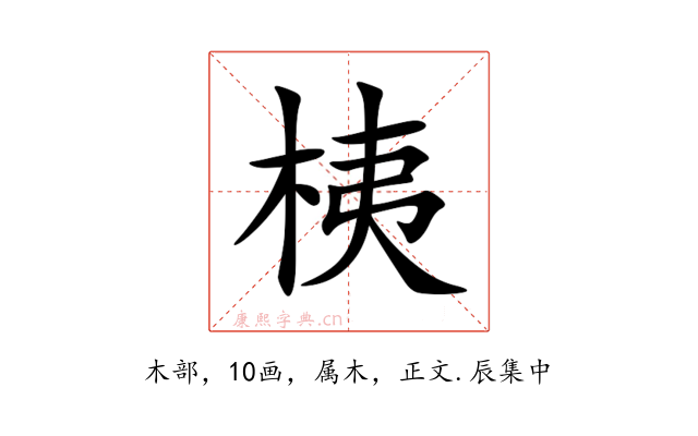 桋