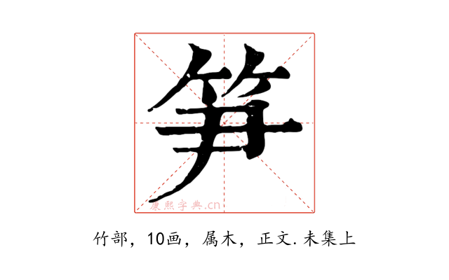 笋