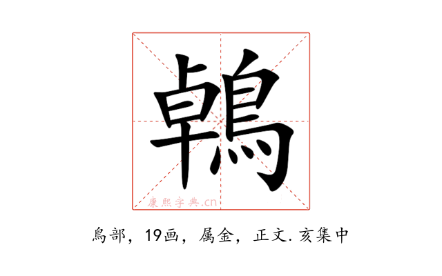 鵫