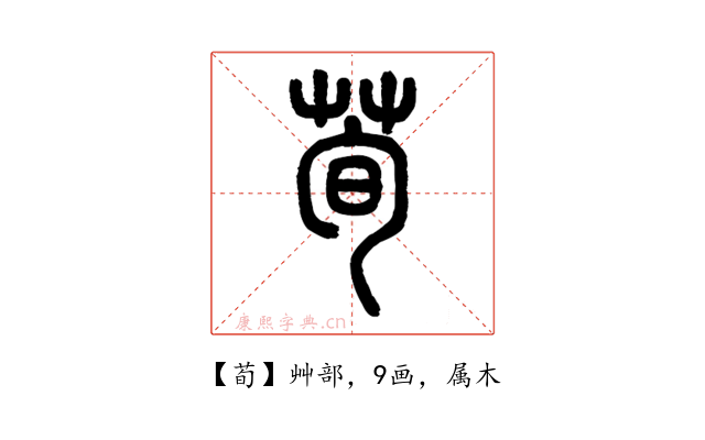 荀