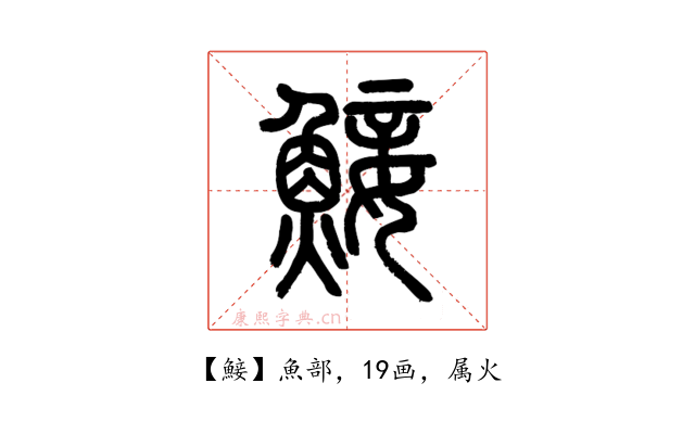 鯜