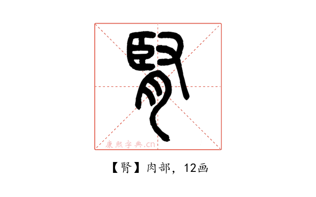腎