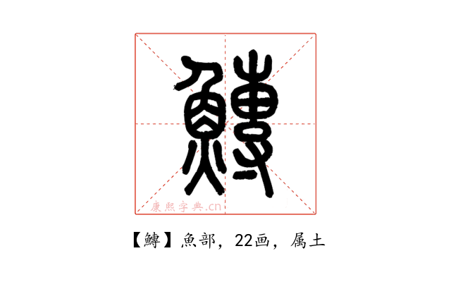 鱄
