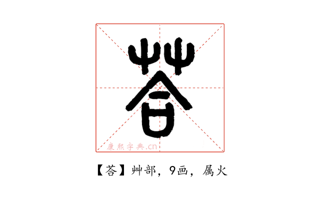 荅