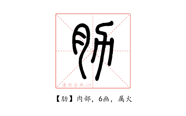 肋