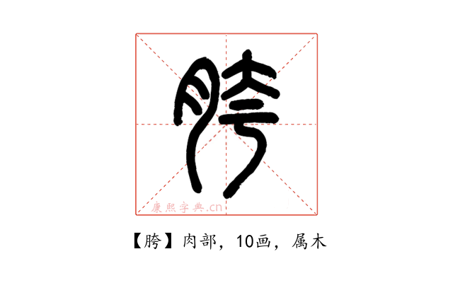 胯