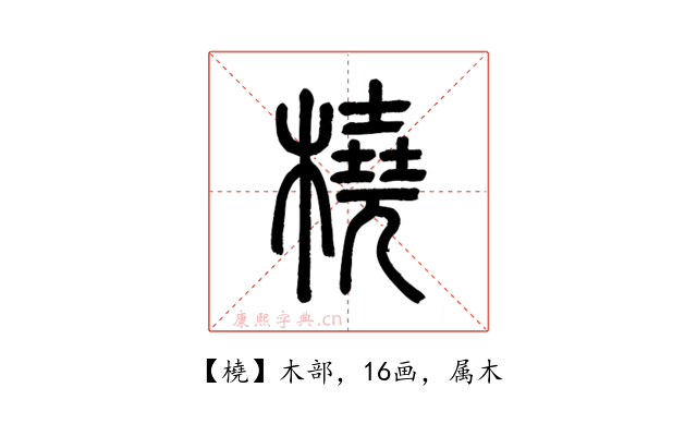 橈
