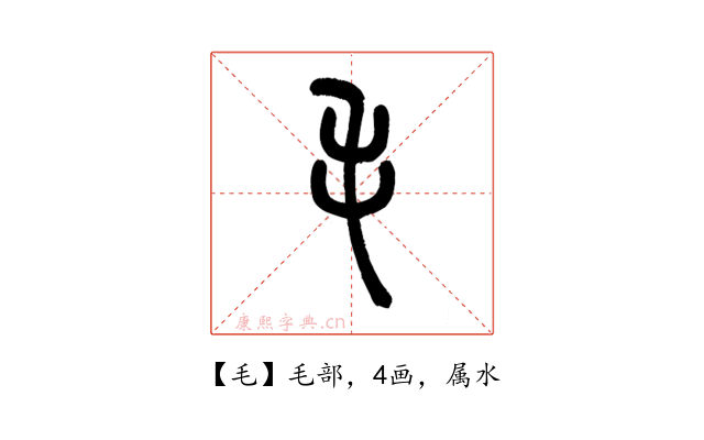 毛